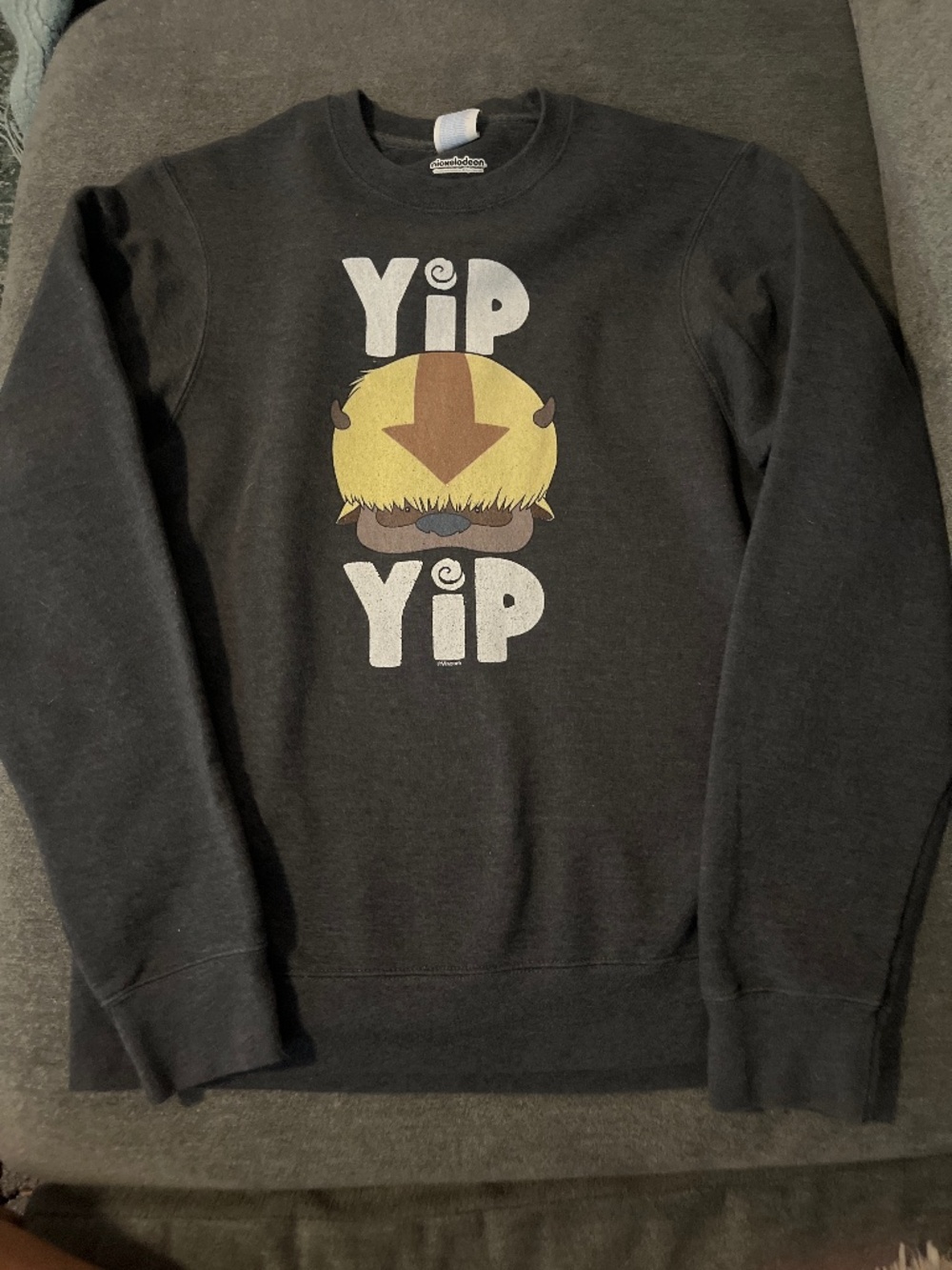 Adult size S avatar sweatshirt